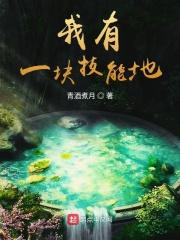 我有一块熟练度面板起点