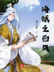 海贼之白银