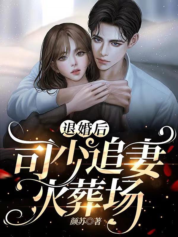 司少追妻火葬场 谈栖