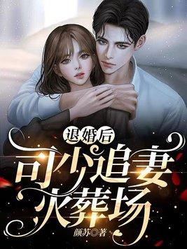 欧颜司夜辰结局