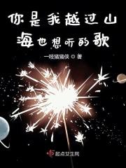 你越过山是什么歌