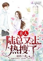 陆总夫人又闹离婚了免费阅读