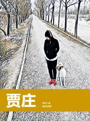 贾庄古镇
