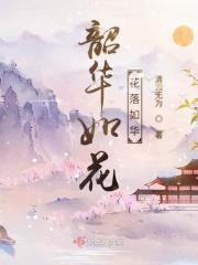 韶华如驶