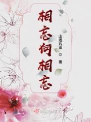 长毋相忘长毋相忘