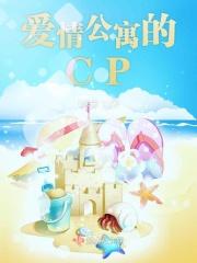 爱情公寓的爱情