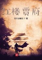 红楼贾府庶子开局娶了史家女儿