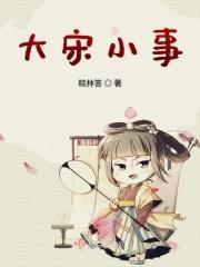 大宋小事 皖林答