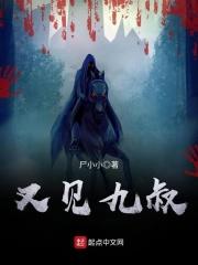 又见九叔免费全本