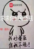 求求你们别还钱 盗凉人