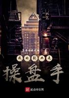 我的副业是操盘手TXT免费
