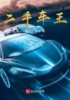 二手车王大刘