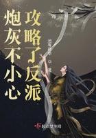 炮灰攻略后续