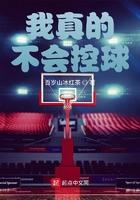 我真不会打篮球诺亚在线阅读