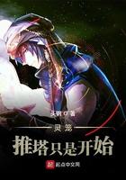 灵笼官方众筹推塔计划