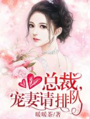 宠妻请排队免费阅读