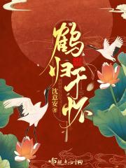 鹤归在古诗里的意思