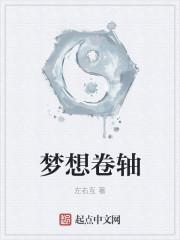 sr梦想卷换什么