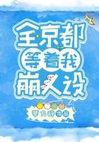 全京城都等着我破案