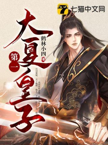 大夏第一皇子短剧全集观看