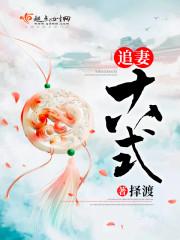 追妻实录最新章节更新内容