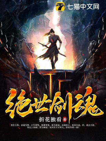 绝世剑魂叶飞全集免费阅读