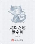 龙珠之大宗师