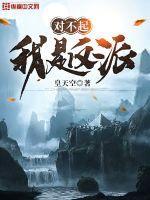 对不起我是攻