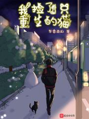 我捡了一只重生的猫