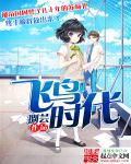 飞鸟时代有限公司