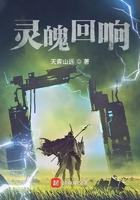 灵魂回响吧