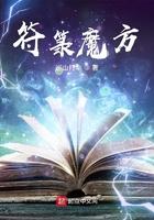 符箓魔方TXT百度