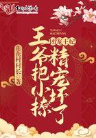 团宠王妃王爷把小撩精宠坏了 莲花村村长