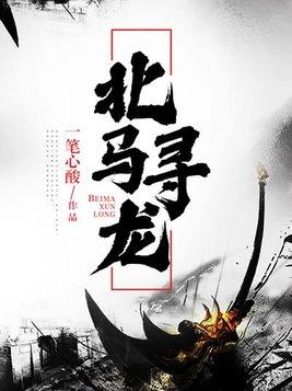 寻龙北往电影