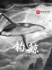 钓鲸客