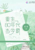 重生80年代花昭