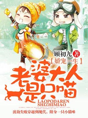 老婆大人零
