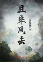且将这风尘做酒一饮消愁