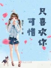 可惜你爱他歌曲