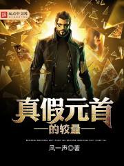 真假元首的较量TXT