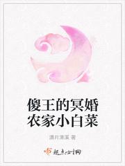傻王爷小白妃