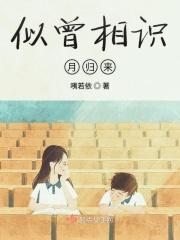似曾相识归来上一句