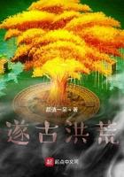 洪荒遂人氏