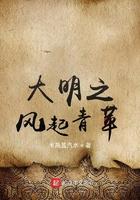 大明风云之青云传