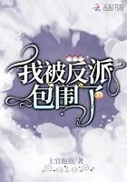 被反派包围的日常txt