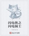 一口气看完闪电侠第一季解说