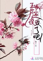 王爷你家王妃太嚣张了免费阅读