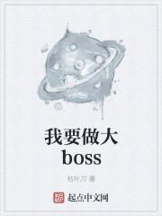 我要做大哥电影