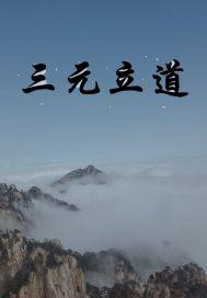 三元立向