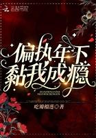 偏执沉迷 作者城下烟